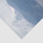 Seelöwen im Beagle-Kanal - Argentinien Seidenpapier (Ausschnitt)