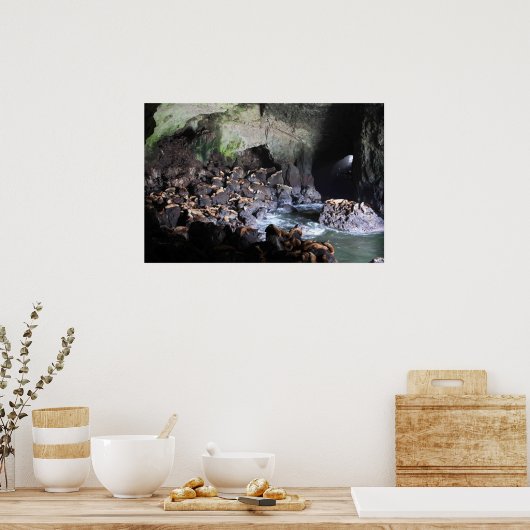 Seelöwen in Höhlendrucken Poster (Küche)