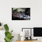 Seelöwen in Höhlendrucken Poster (Heimbüro)