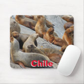 Seelöwen in Patagonien, Chile Mousepad (Mit Mouse)