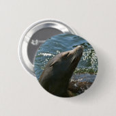 Seelöwen-Knöpfe Button (Vorne & Hinten)