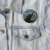 Seelöwen-Knöpfe Button (Beispiel)