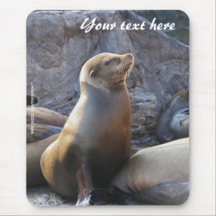 Seelöwen-Mauspad Mousepad