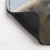 Seelöwen-Mauspad Mousepad (Ecke)