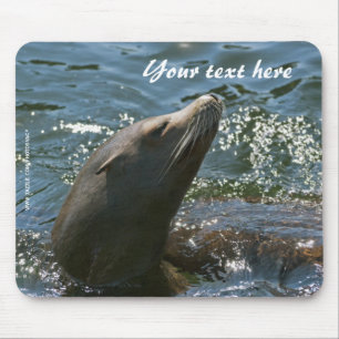 Seelöwen-Mauspad Mousepad