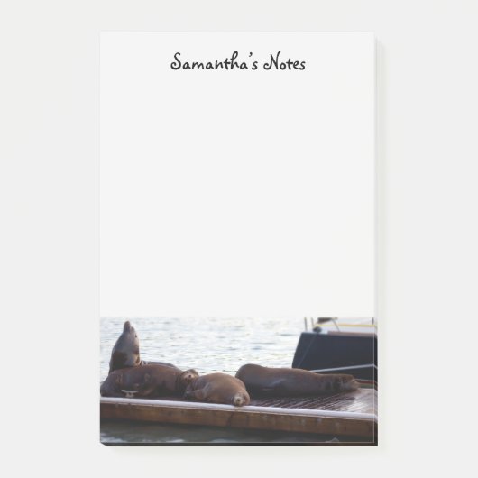 Seelöwen nach der Verabschiedung Post-it Klebezettel (Vorderseite)