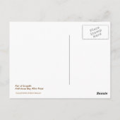 Seelöwen Postkarte (Rückseite)