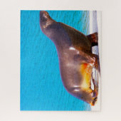 Seelöwen Puzzle (Vertikal)