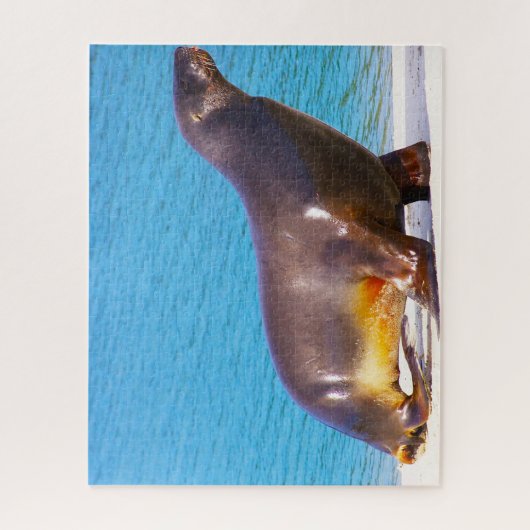 Seelöwen Puzzle (Vertikal)