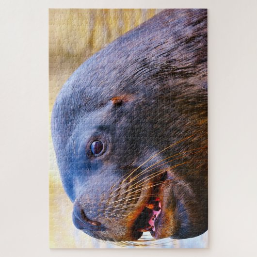 Seelöwen Puzzle (Vertikal)