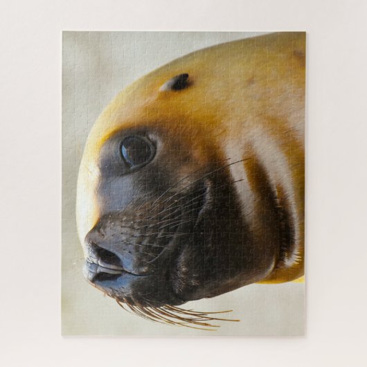 Seelöwen Puzzle (Vertikal)