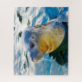 Seelöwen Puzzle (Vertikal)