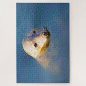 Seelöwen Puzzle (Vertikal)