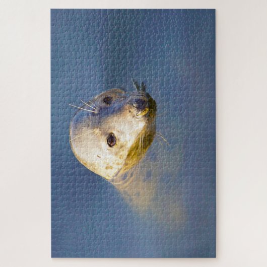 Seelöwen Puzzle (Vertikal)