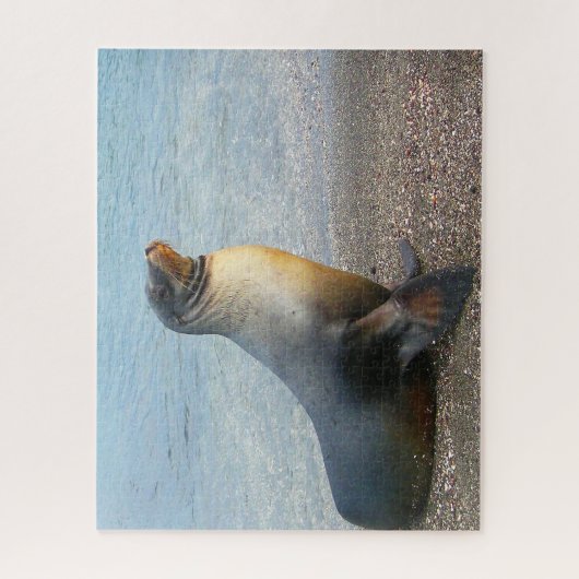 Seelöwen Puzzle (Vertikal)
