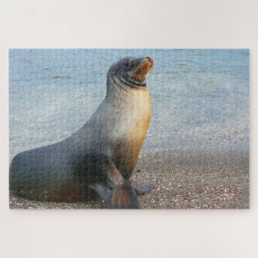 Seelöwen Puzzle (Horizontal)