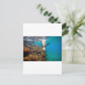 Seelöwen spielen unter Wasser Galapagos Inseln Postkarte (Stehend Vorderseite)