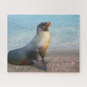 Seelöwen unserer Meere Puzzle