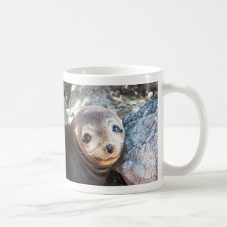 Seelöwewelpe, Isla Las Piazzen, Galapagos Kaffeetasse
