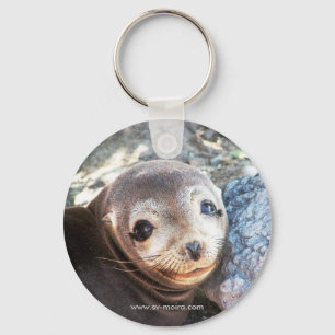 Seelöwewelpe, Isla Las Piazzen, Galapagos Schlüsselanhänger