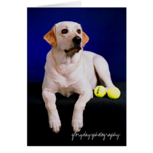 Seemannstudio, glorydaysphotography