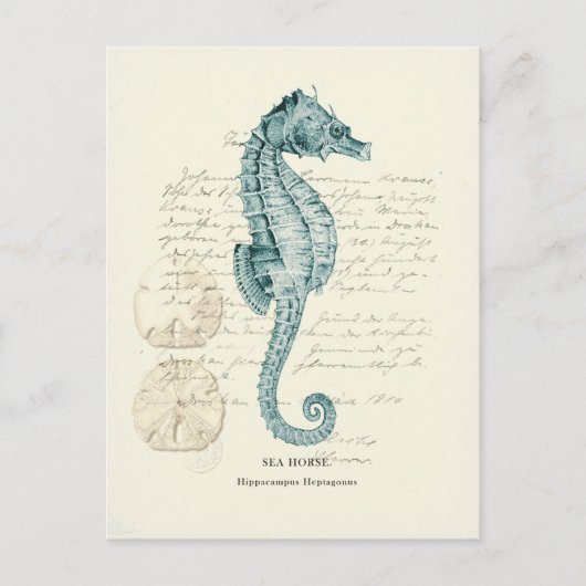Seemeile Postkarte (Vorderseite)