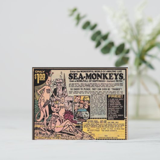 SEEMONKEYS VINTAGE Postkarten (Stehend Vorderseite)