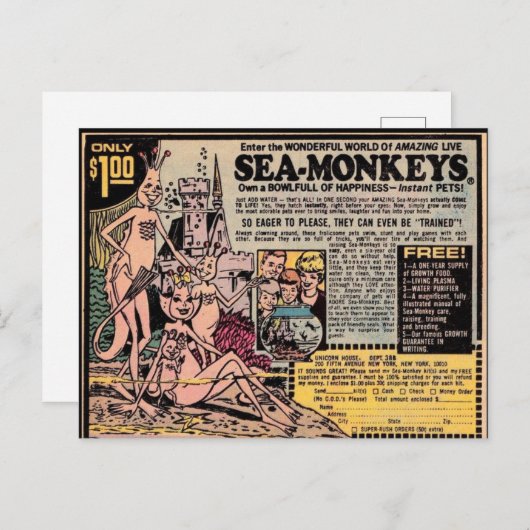 SEEMONKEYS VINTAGE Postkarten (Vorne/Hinten)