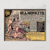 SEEMONKEYS VINTAGE Postkarten (Vorderseite)