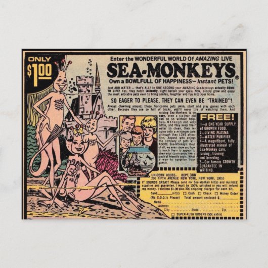 SEEMONKEYS VINTAGE Postkarten (Vorderseite)