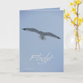 Seemöven-Flug Karte (Gelbe Blume)