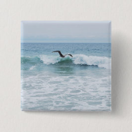 Seemöwe am Strand in Kalifornien Button