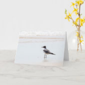 Seemöwe auf der Strand-Raum-Gruß-Karte Karte (Gelbe Blume)