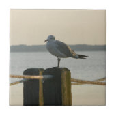 Seemöwe auf einem Posten Fliese (Vorderseite)