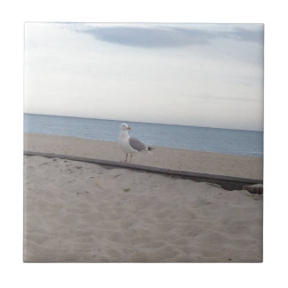 Seemöwe auf Strand Fliese