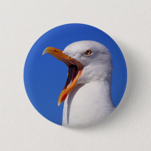 Seemöwe Button