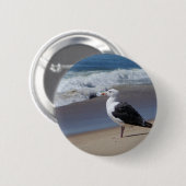 Seemöwe Button (Vorne & Hinten)