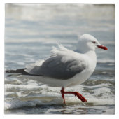 Seemöwe, die seine Füße naß erhält Fliese (Vorderseite)