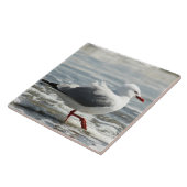 Seemöwe, die seine Füße naß erhält Fliese (Seite)