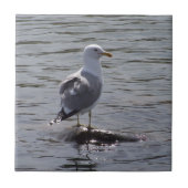 Seemöwe Fliese (Vorderseite)
