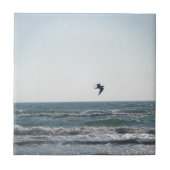 Seemöwe Fliese (Vorderseite)