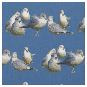 Seemöwe-Gewebe Stoff