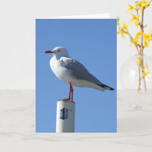 Seemöwe-Gruß-Karte Karte (Gelbe Blume)