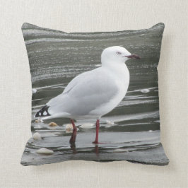 Seemöwe im Meer Kissen