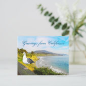 Seemöwe-Insel Postkarte (Stehend Vorderseite)