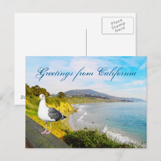 Seemöwe-Insel Postkarte (Vorne/Hinten)