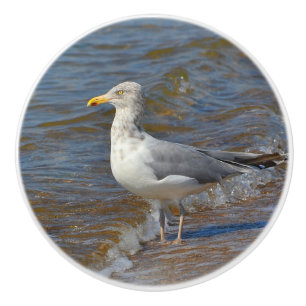 Seemöwe-Keramik-Griff Keramikknauf