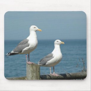 Seemöwe-Mausunterlage Mousepad