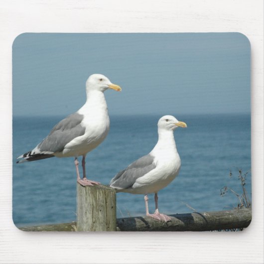 Seemöwe-Mausunterlage Mousepad (Vorne)