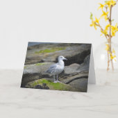 Seemöwe Notecard Karte (Gelbe Blume)